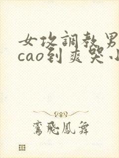 女攻调教男主被cao到爽哭小说最新章