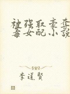 被强取豪夺的恶毒女配小说