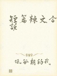 短篇辣文合集小说