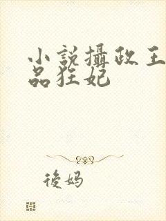 小说摄政王的医品狂妃