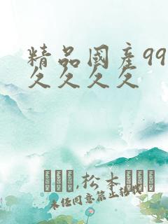精品国产99久久久久久