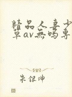 精品人妻少妇嫩草av无吗专区