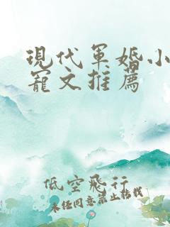 现代军婚小说甜宠文推荐