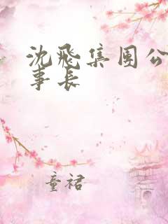 沈飞集团公司董事长