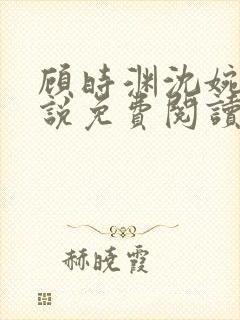 顾时渊沈婉婷小说免费阅读最新章节