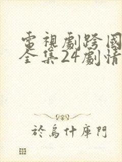 电视剧跨国追逃全集24剧情