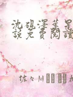 沈砚泽叶星辰小说免费阅读最新章节更新时间