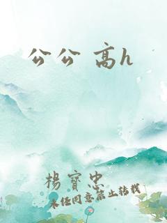 公公 高h