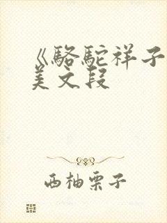 《骆驼祥子》优美文段