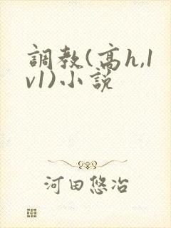 调教(高h,1v1)小说