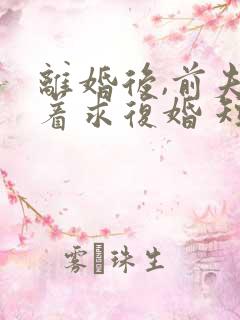 离婚后,前夫哭着求复婚 短剧