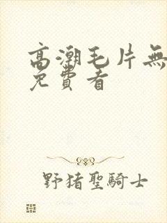 高潮毛片无遮掩免费看