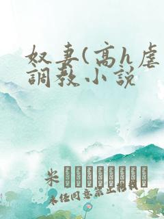 奴妻(高h虐身调教小说