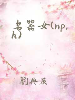 名器女(np,h)