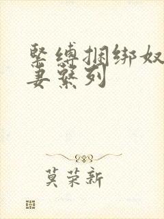 紧缚捆绑奴隷人妻系列