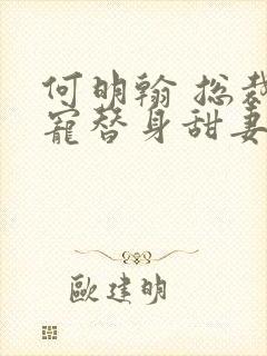 何明翰 总裁误宠替身甜妻