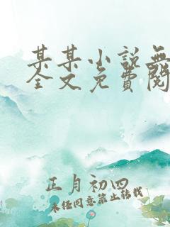 某某小说无弹窗全文免费阅读