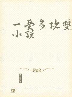 一受多攻双男主小说