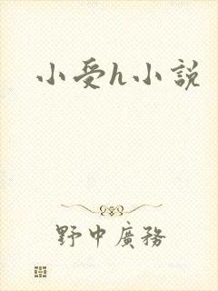小受h小说
