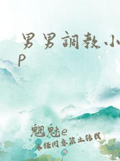 男男调教小说sp