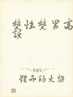 双性双男高h小说