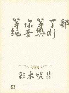 等你等了那么久纯音乐dj