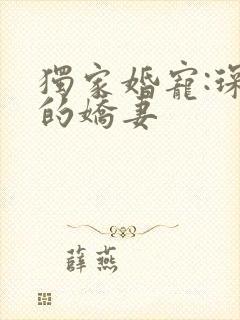 独家婚宠:琛少的娇妻