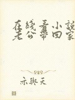 在线看小说国民老公带回家