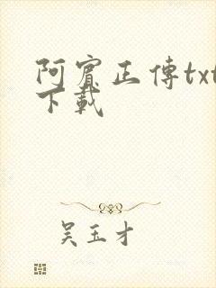 阿宾正传txt下载