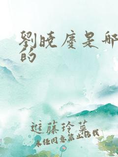 刘晓庆是哪一年的