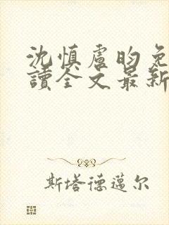 沈慎卢昀免费阅读全文最新章节