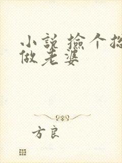 小说 捡个总裁做老婆