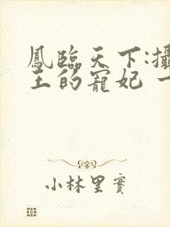 凤临天下:摄政王的宠妃 一季流殇