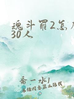 魂斗罗2怎么调30人