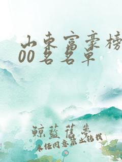 山东富豪榜前100名名单