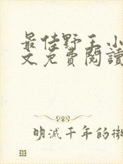 最佳野王小说全文免费阅读无弹窗