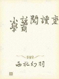 小说阅读变身女学霸