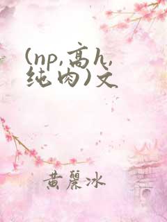(np,高h,纯肉)文