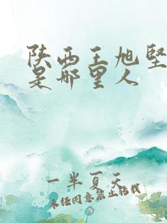 陕西王旭坚祖籍是哪里人