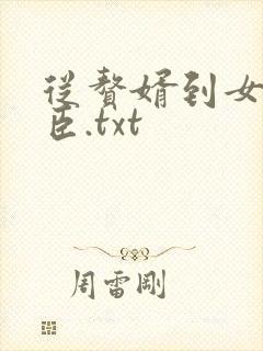 从赘婿到女帝宠臣.txt