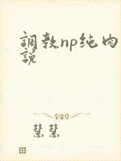 调教np纯肉小说