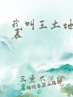 我叫王土地演员表