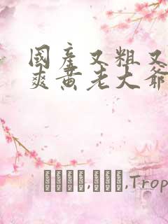 国产又粗又猛又爽黄老大爷视频