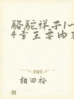 骆驼祥子1~24章主要内容30字