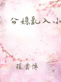 公媳乱入小说