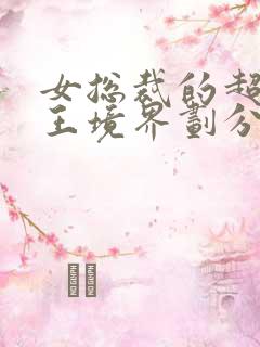 女总裁的超级兵王境界划分