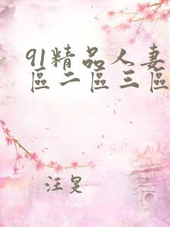 91精品人妻一区二区三区中文字幕