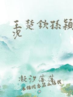 王楚钦孙颖莎战况