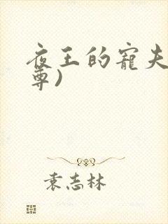 夜王的宠夫(女尊)