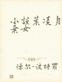 小说叶凌月神医弃女